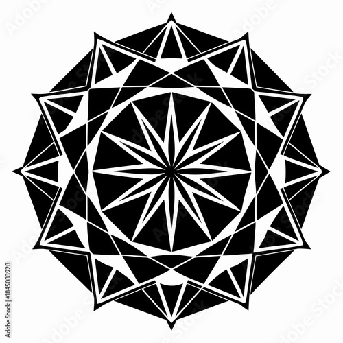 A lone figure stands on a mountain peak overlooking a vast cloudy landscape A solitary white flower blooms in the darknessA close up of a black and white cat s face