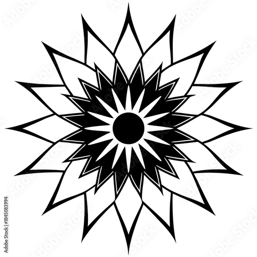 A lone figure stands on a mountain peak overlooking a vast cloudy landscape A solitary white flower blooms in the darknessA close up of a black and white cat s face