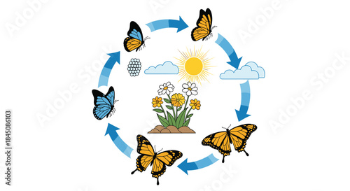 Cycle of life with butterflies circling a blooming plant beneath a bright sun and fluffy clouds in a circular scene of growth and pollination.