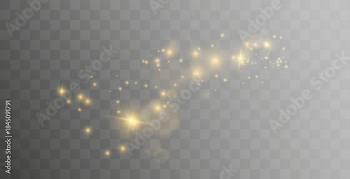 Gold sparkles background. Vector shining particles.