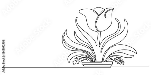 Three tulips on stems in continuous one line art style. Flower bouquet sketch with editable black stroke on white background. Vector illustration.