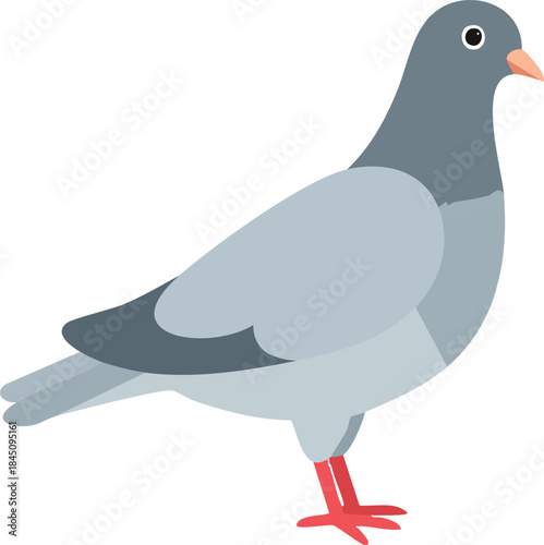 pigeon on a branch