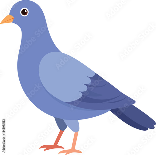 vector illustration of a pigeon