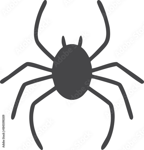 black spider isolated on white