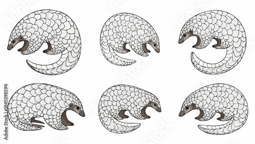 set of easter eggs and birds