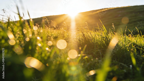 Sunlight shining through grass in a field at sunrise with lens flare and bokeh effects