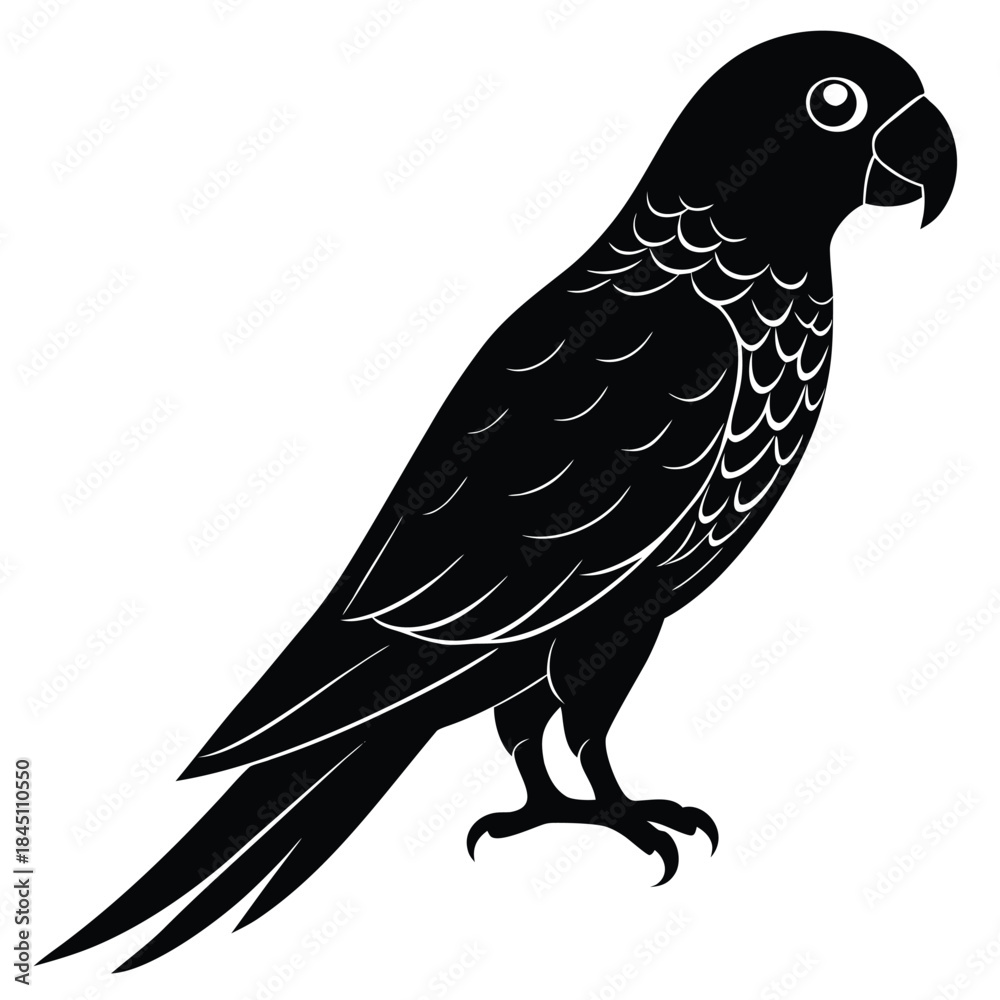 Obraz premium bird on a branch