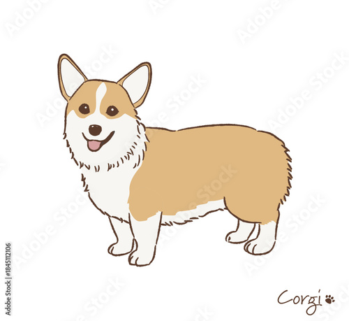 手描きのコーギー_ベクターイラスト