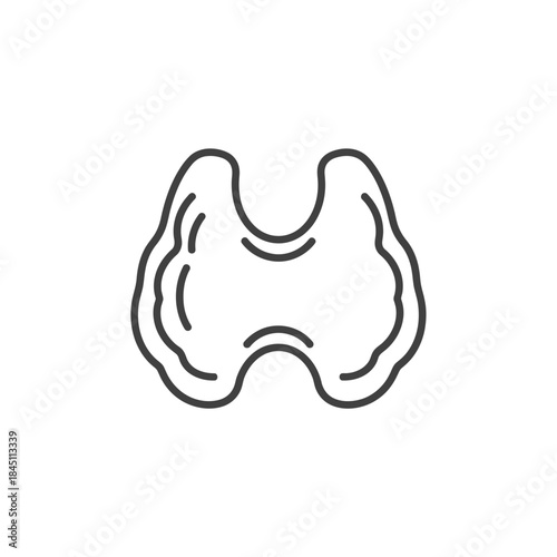 Anatomical Outline Drawing of Male Reproductive System Black White Line Art Vector Illustration