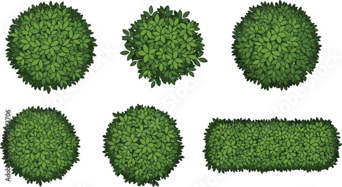 Top view green bushes and shrubs collection featuring varied foliage textures, botanical elements, landscape vegetation, nature plants, vector illustration for garden design