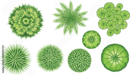 Top view green plants and foliage collection featuring diverse leaf textures, botanical elements, landscape vegetation, nature plants, vector illustration design