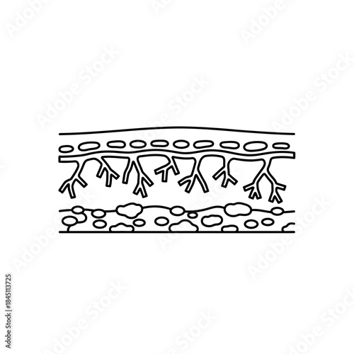Comprehensive Plant Cell Diagram Cross Section Graphic Organelles Cytoplasm Biology