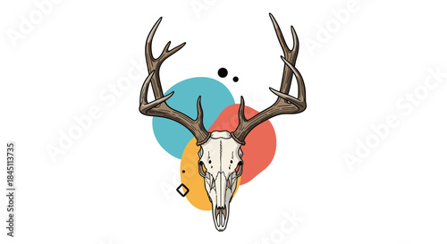 Deer skull with large antlers stands in front of overlapping colorful circles for a bold surreal wildlife illustration that evokes mystery and adventure.