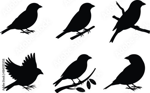 Wallpaper Mural Six Black Silhouettes of Finches Perched and Flying on White Background bird Torontodigital.ca