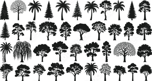 Tree silhouettes collection, diverse forest tropical and pine trees, botanical nature vector illustration for landscape design, gardening, environment, and outdoor creative projects
