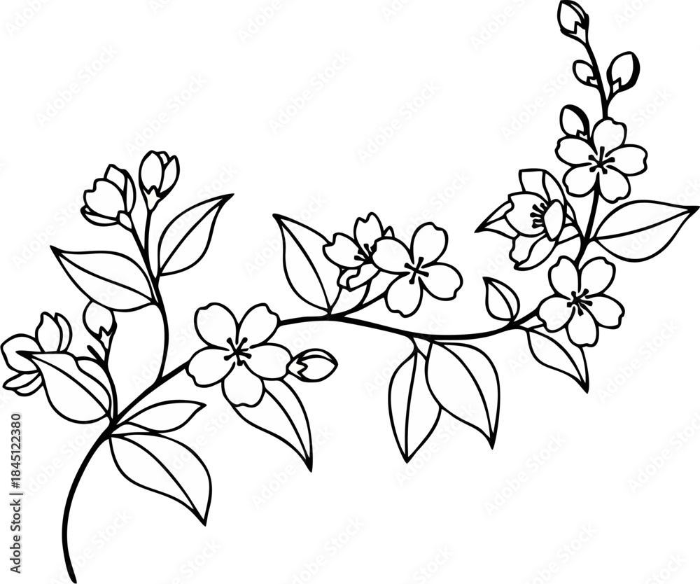 Fototapeta premium Minimalist Jasmine Flower Vine Line Art, Black and White Floral Branch Illustration