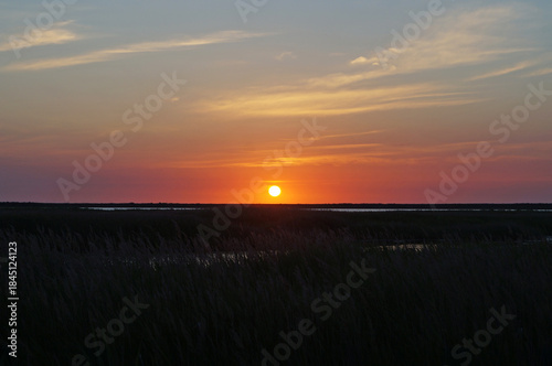 Sunrise over a lake surrounded by tall grass on a warm summer day