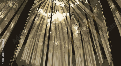 Dramatic sunbeams illuminate a dense forest canopy, casting long shadows and creating an ethereal, tranquil natural landscape.