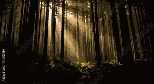 Dramatic golden sunbeams pierce through the dense, towering canopy of an ancient forest, illuminating the tranquil woodland floor, creating a captivating natural spectacle.