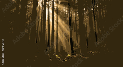 A serene forest scene where golden sun rays beautifully penetrate the dense tree canopy, casting ethereal light and shadow patterns on the woodland floor.