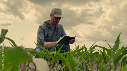 agriculture, farmer working corn field digital tablet, Cornfield with farmer, Advanced agriculture image, Man with digital device, Nature and innovation, Farm sustainability, Countryside technology