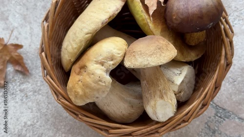 Fresh mushrooms in a basket with autumn leaves