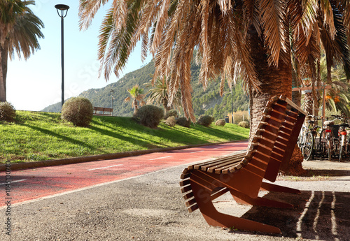 Palm trees and bench in park on seashore near mountains in sunny day. Nature in resort town, Italy. Blue sky, background for design.