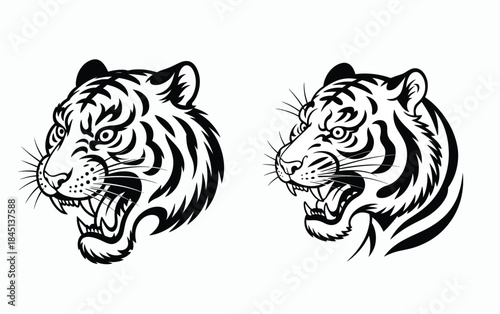 Two fierce tiger head illustrations in black and white line art, roaring with intensity