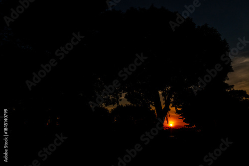 sunset over the forest 