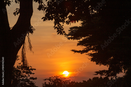 sunset over the forest 