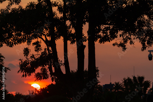 sunset over the forest 