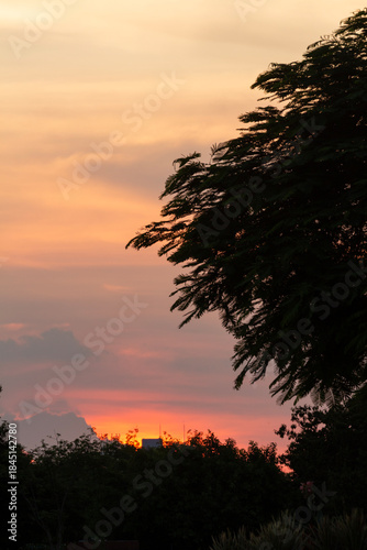 sunset over the forest 