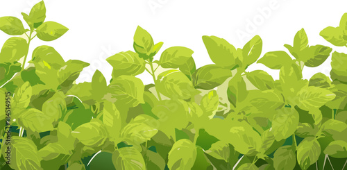 Two golden snails exploring a wooden log surrounded by spring daisies representing patience and slow living in a fast paced modern digital world.