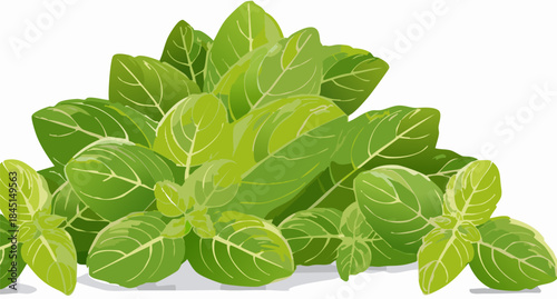 Minimalist vector art of a healthy green herb bush promoting biodiversity and botanical studies in elementary schools through bright and engaging visual media.