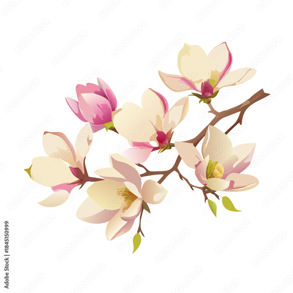 Obraz premium Pink cherry blossom and orchid flowers blooming on a branch, isolated against a white background, symbolizing the beauty of spring nature
