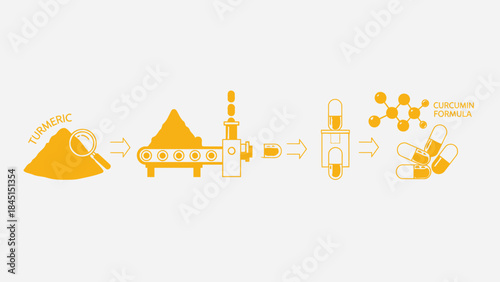 Turmeric powder processed into curcumin formula capsules through industrial manufacturing steps