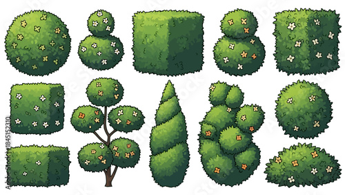 Collection of Topiary Garden Bushes and Plants in Various Geometric Shapes
