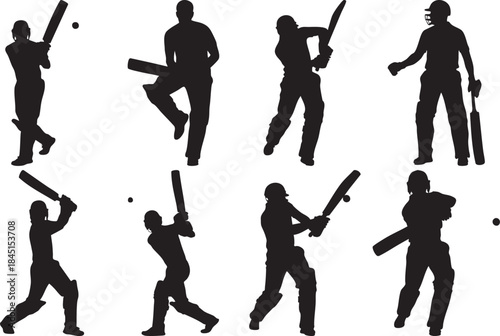 Cricket Players in Action Silhouettes