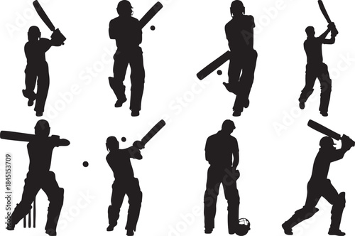 Cricket Players in Action Silhouettes