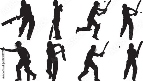 Cricket Players in Action Silhouettes