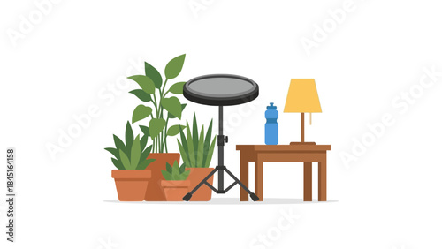 Inviting living space with potted plants, side table, lamp, practice pad, and water bottle to help create a calming, comfortable and creative home space