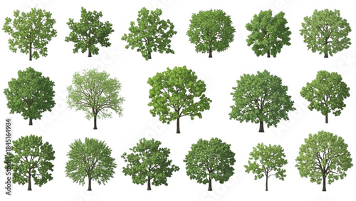 Collection of diverse green trees for landscaping and natural scenes CAD style