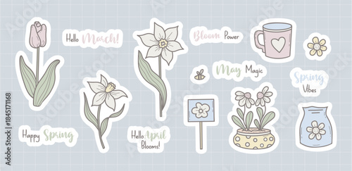 Cute Spring Flowers Tulip, Narcissus and Chamomile, Spring-themed Elements And Motivational Quotes Sticker Pack. Hand Drawn Pastel Gardening Collection. Vector illustration. Not AI