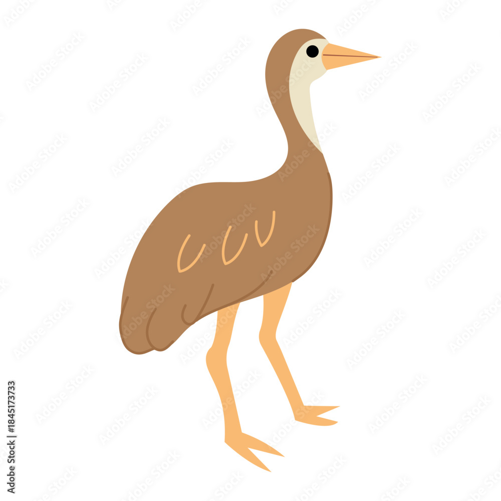 Obraz premium Illustration of a Brown Sarus Crane. White background, isolate