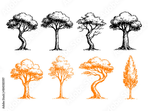 Hand Drawn Tree Silhouette Sketch Set in Vintage Ink Style