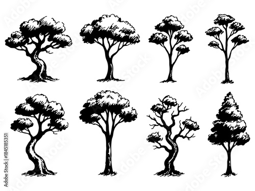 Hand Drawn Tree Silhouette Sketch Set in Vintage Ink Style
