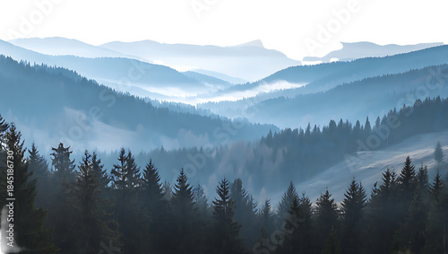 Blue misty mountain valleys with evergreen pine forests isolated on a transparent background