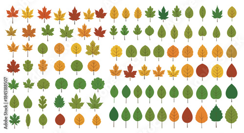 Large collection of various tree leaves in autumn and summer colors, including maple, oak, and birch in a flat design style.