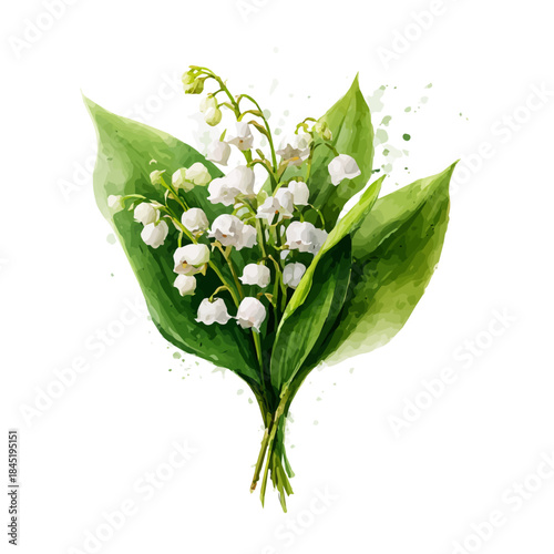 Watercolor Lily Of The Valley Bouquet vector, artistic painting style, high-resolution illustration on a pure white background.