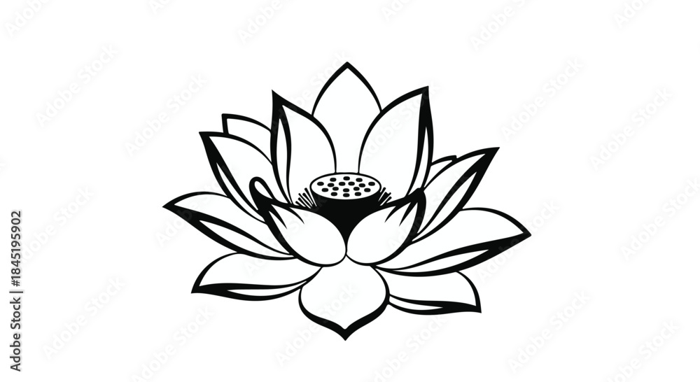 Fototapeta premium Elegant black and white illustration of a blooming lotus flower